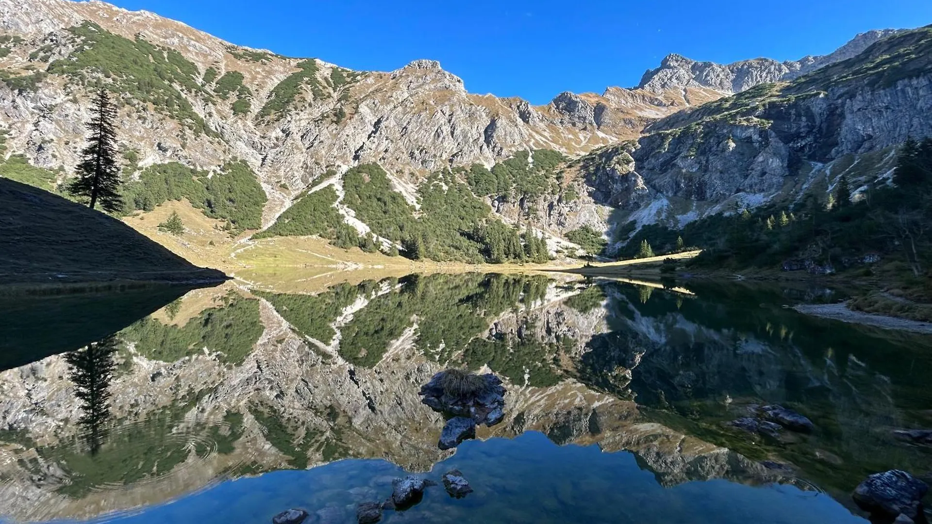 Apartament Fewo Fraeulein-Fink - Alpsee 5 Min - Neue Grosszuegige Suedterrasse Mit Garten - Gratis Wlan - Waschmaschine - Garage Oberstaufen