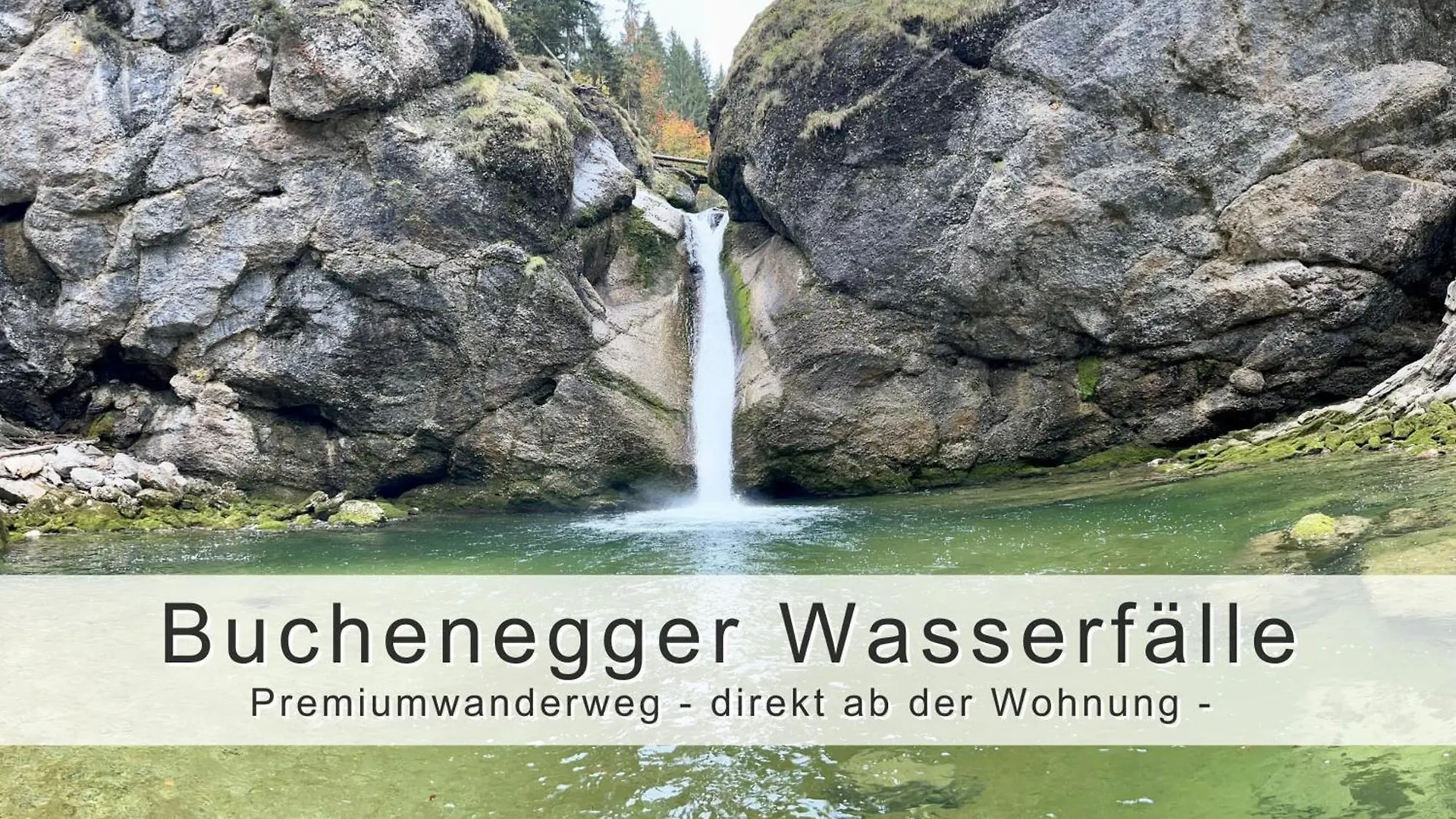 Fewo Fraeulein-Fink - Alpsee 5 Min - Neue Grosszuegige Suedterrasse Mit Garten - Gratis Wlan - Waschmaschine - Garage Oberstaufen 0*,